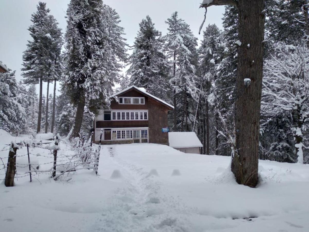 باهالغام Oswal Cottage المظهر الخارجي الصورة